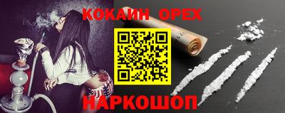 шишки Изобильный