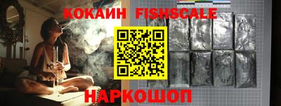 шишки Изобильный