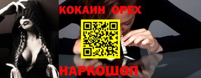 шишки Изобильный